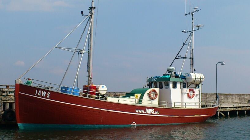 Helsingør fisketure Havfiskere lystfiskere Jaws
