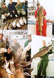 Lystfiskeri Helsingør Nordsjælland